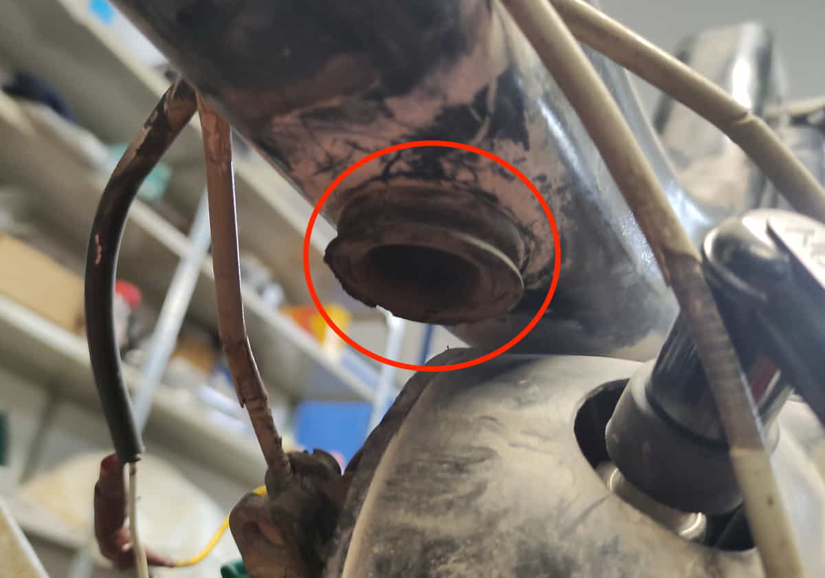 Goma admisión vespino SC