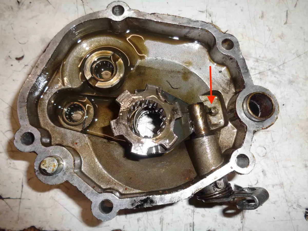 Posición plaquita elástica