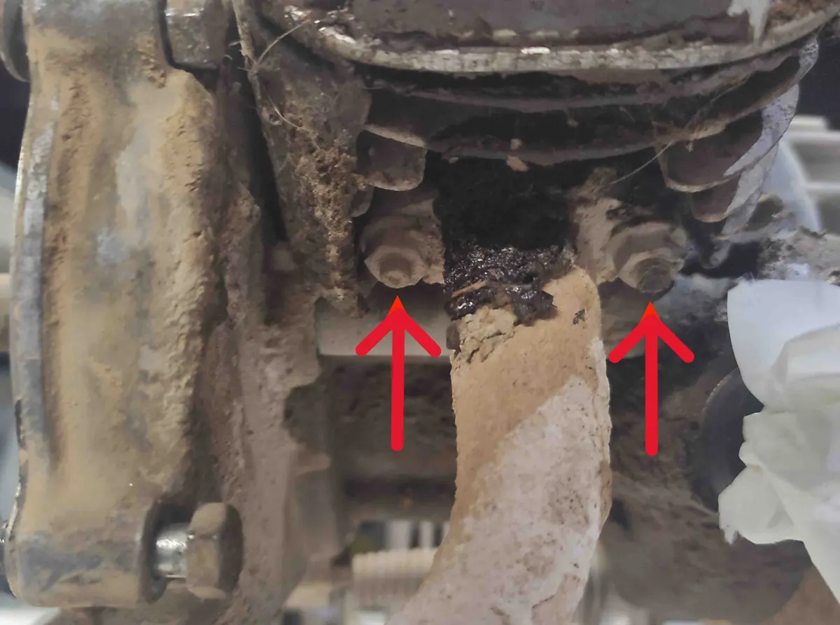 Tornillos escape vespino