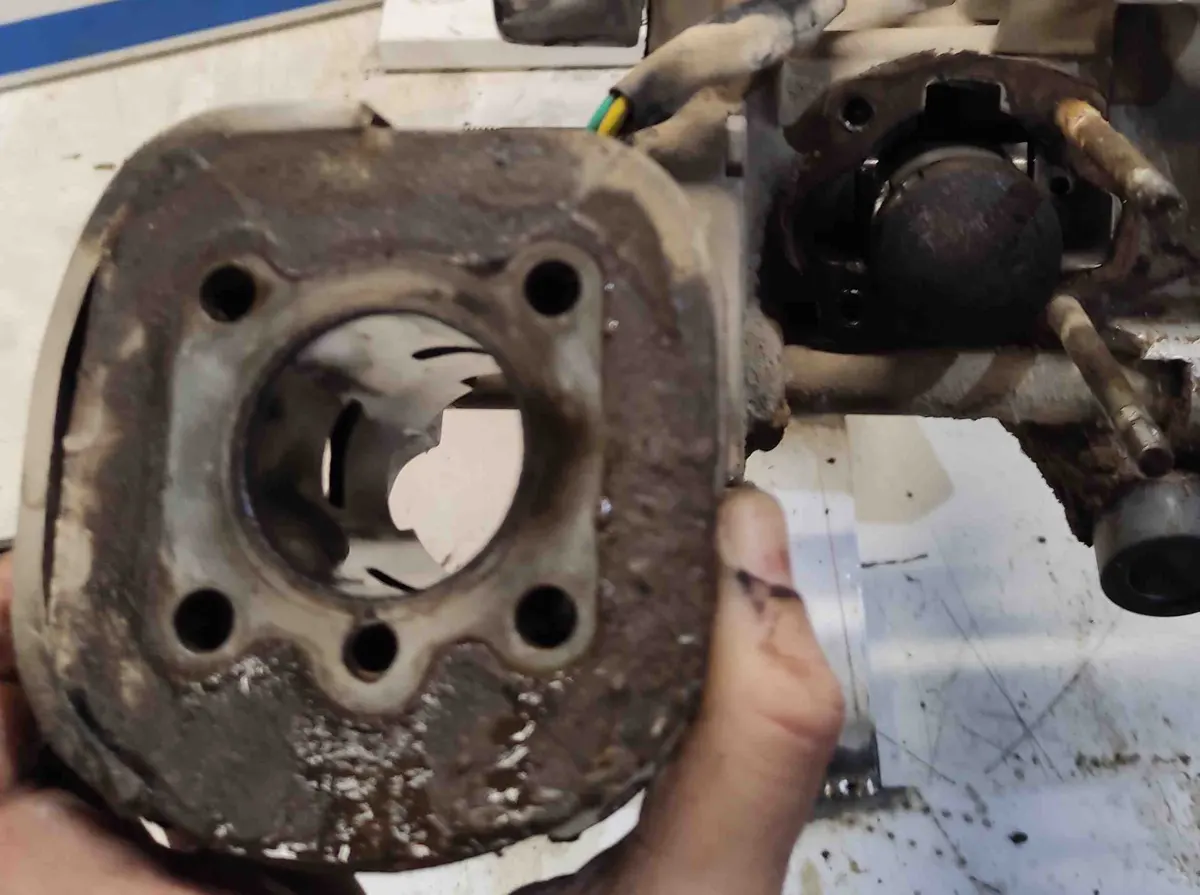 extracción de cilindro de vespino