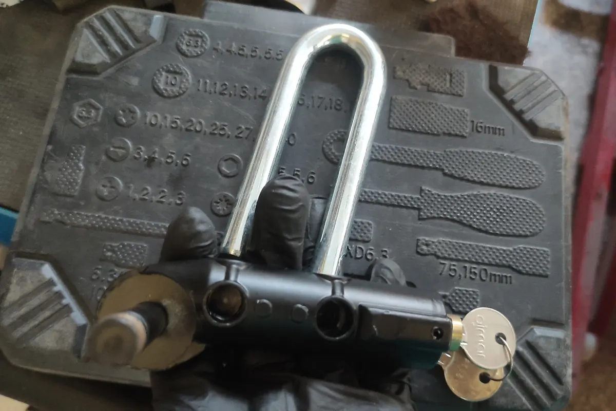 Cepo de Vespino sobre una mesa