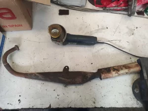 Tubarro de Vespino SC